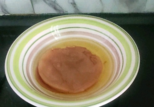 Kombucha scoby teepilz inkl - /,