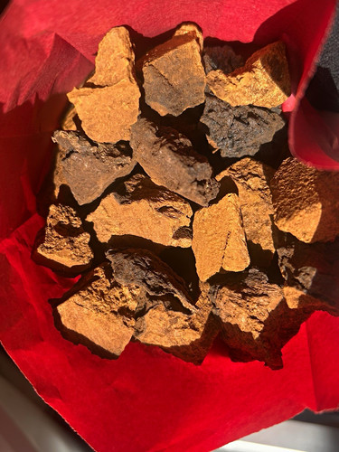 Chaga bio qualität aus - bio,
